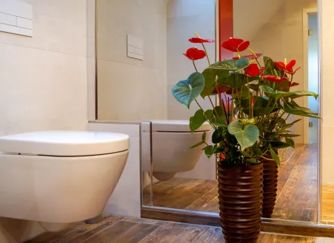 WC und farblicher Akzent im Komplettbad vom Handwerksunternehmen bad & heizung Laabs in Potsdam.