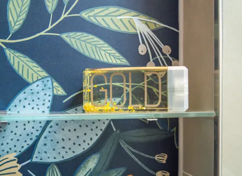 Ein Shampoo liegt auf einer Glasablage innerhalb einer Wand-Nische.